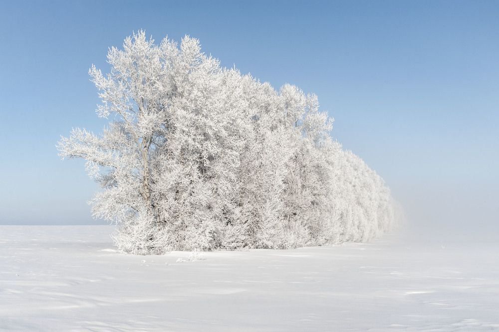 Photograph by Юрий Кухаришин