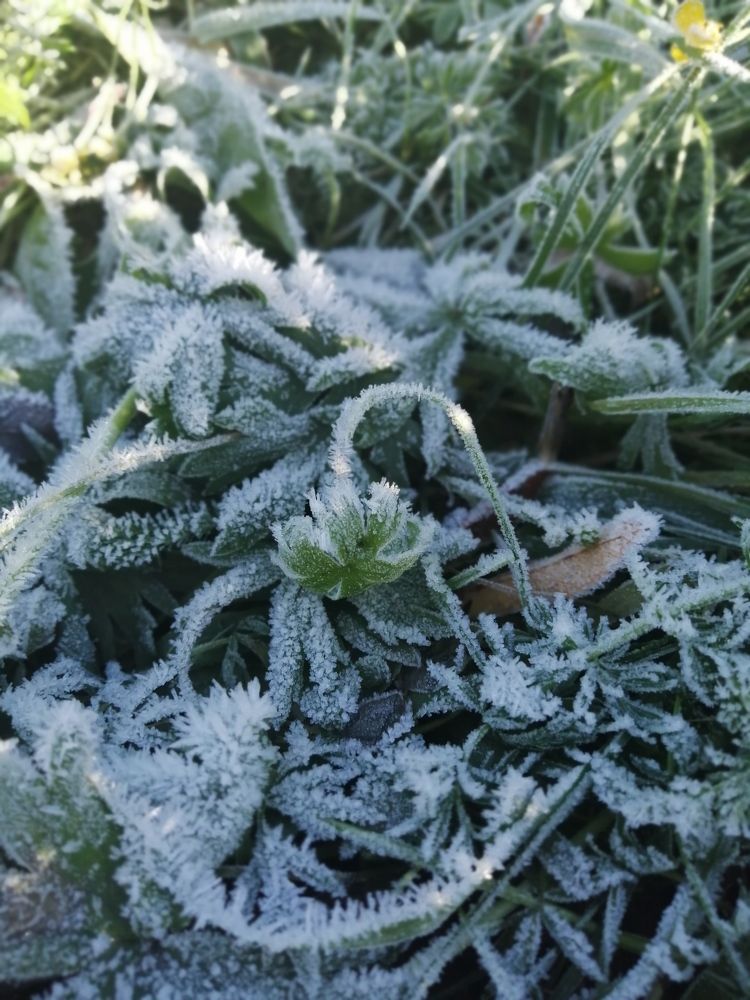 Фотография автора Татьяна Савранчук