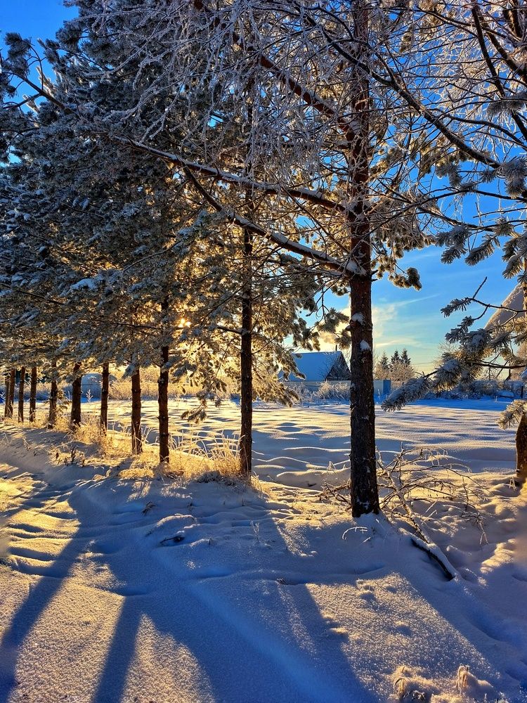 Photograph by Ирина Лучинская