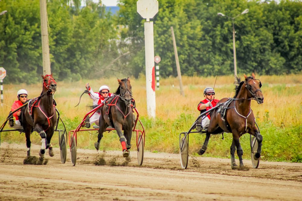 Photograph by Ольга Заповедная