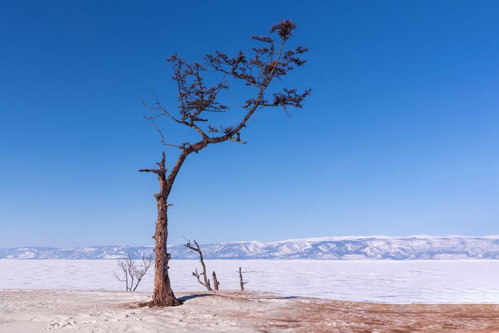Photograph by Николай Швалюк