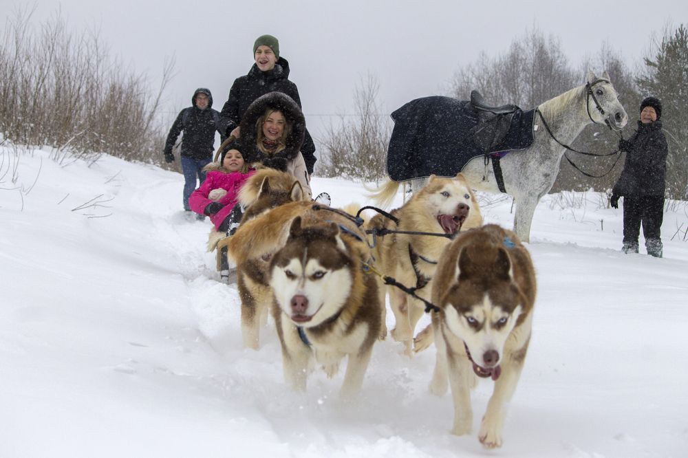 Photograph by Вячеслав Булатов