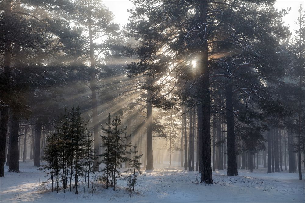 Photograph by Александр Леснянский