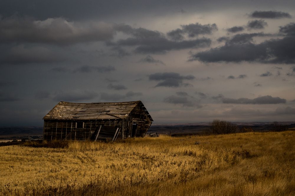 Photograph by Tony Douzenis