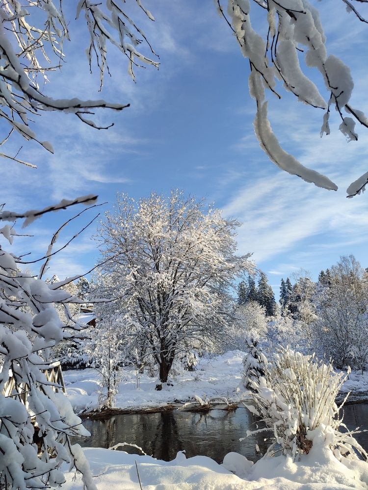 Photograph by Татьяна