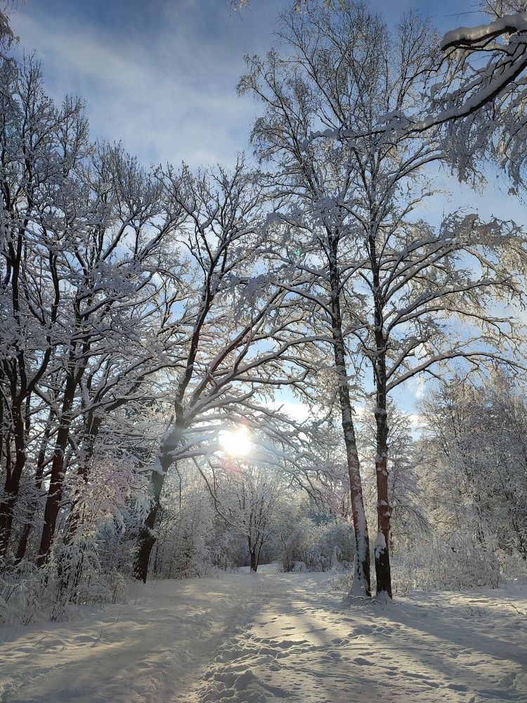 Photograph by Татьяна