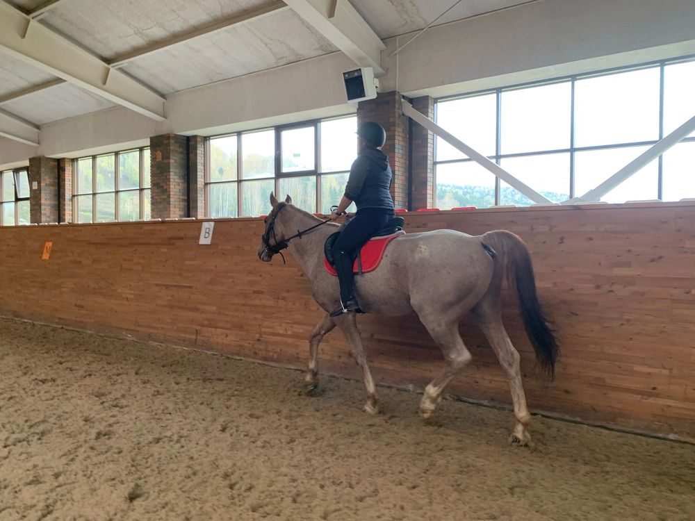 Photograph by Елена Каширина