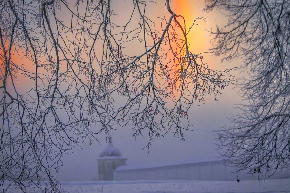 Photograph by Татьяна Бравая