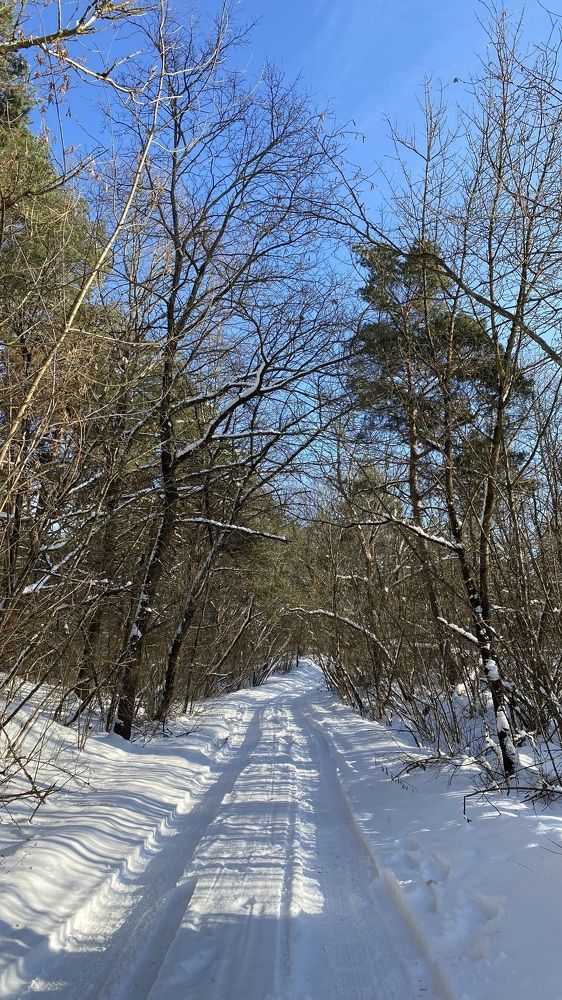 Photograph by Татьяна Русак (сыч)