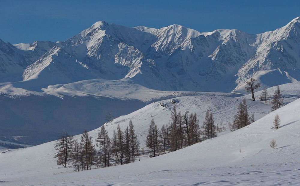 Фотография автора Владимир Русских