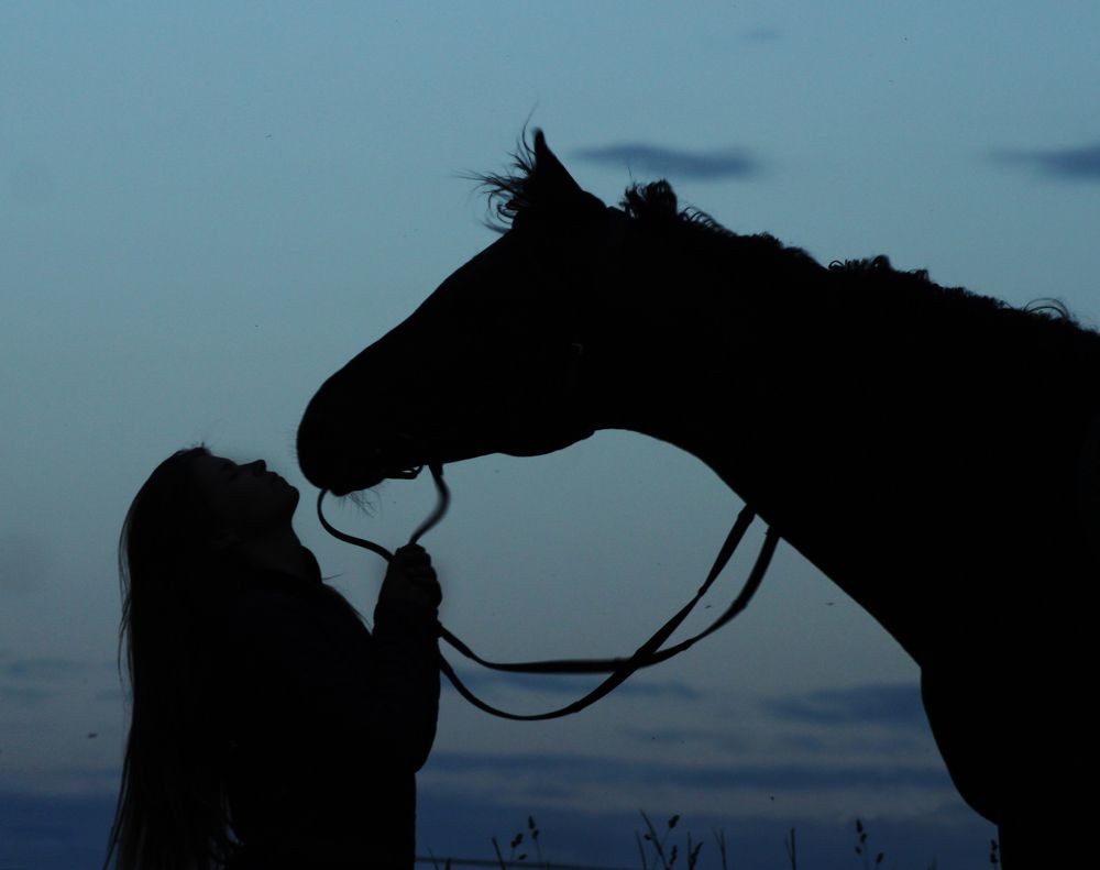 Photograph by Ольга Заповедная