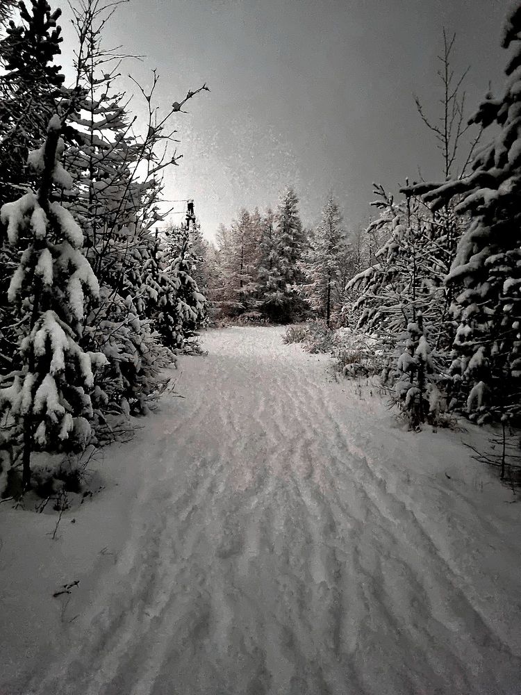 Photograph by Виктория Лобанова