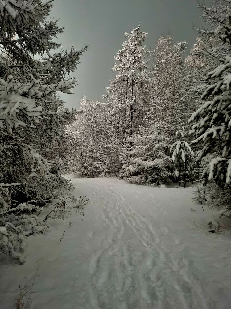 Photograph by Виктория Лобанова