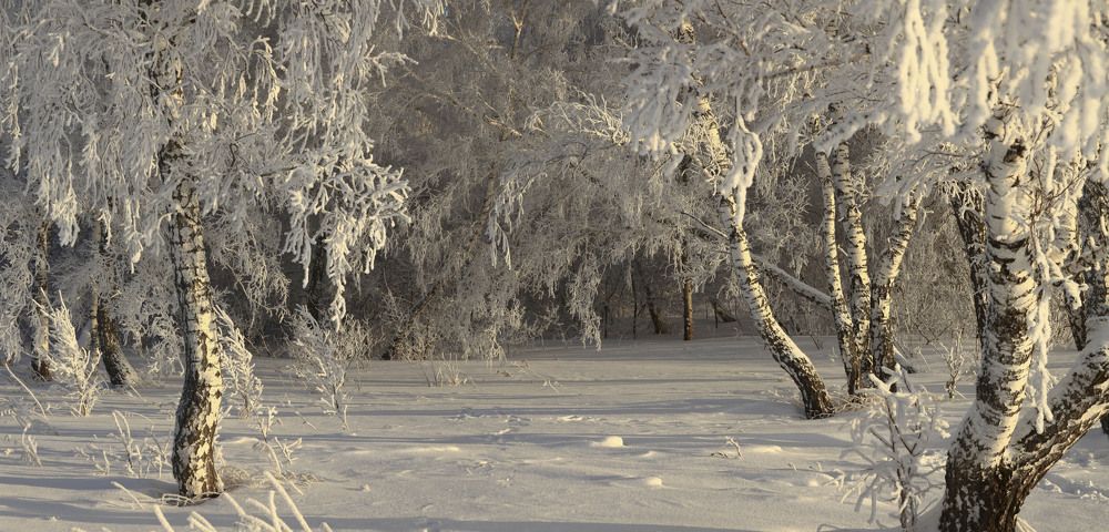 Зимние одежды