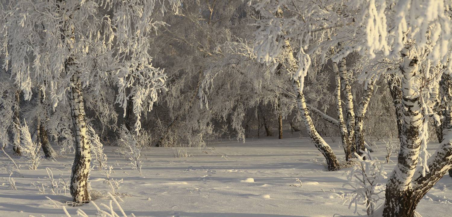 Зимние одежды