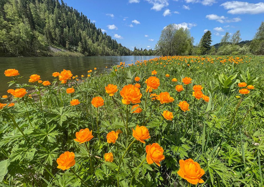 Фотография автора Владимир Русских