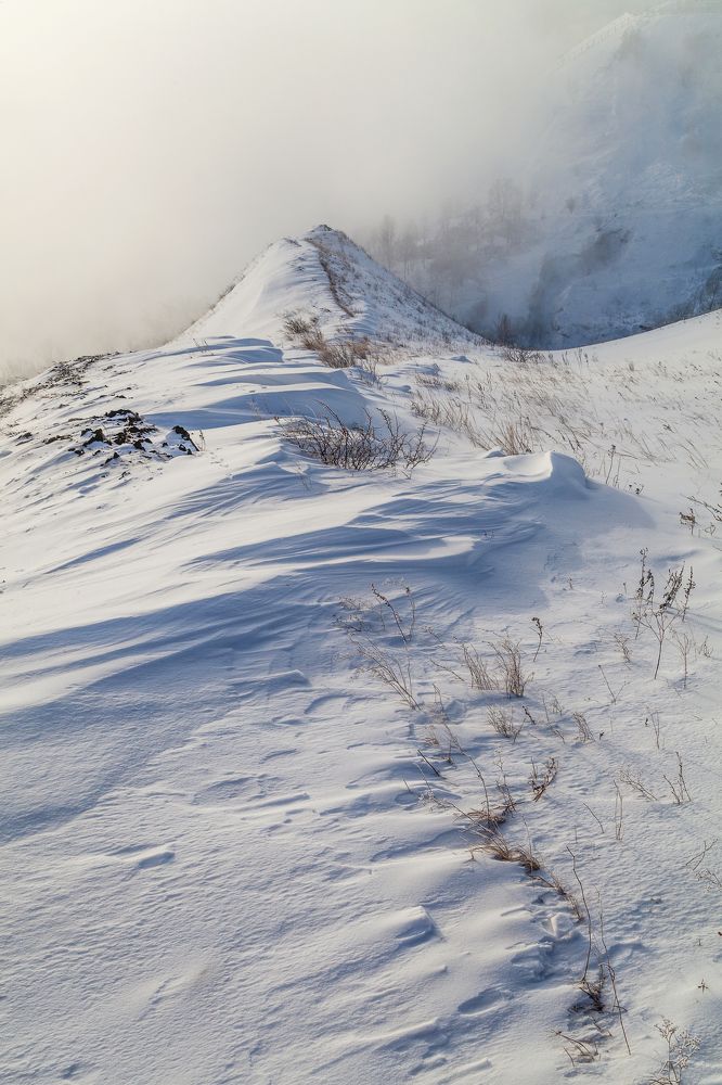 Photograph by Татьяна Каскевич