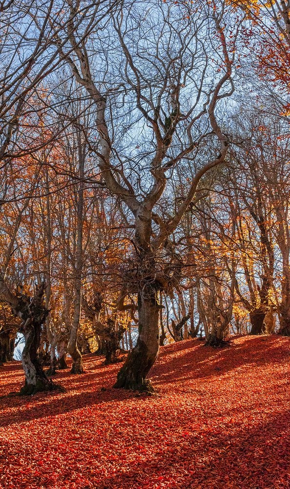 Photograph by Amin Eksiri