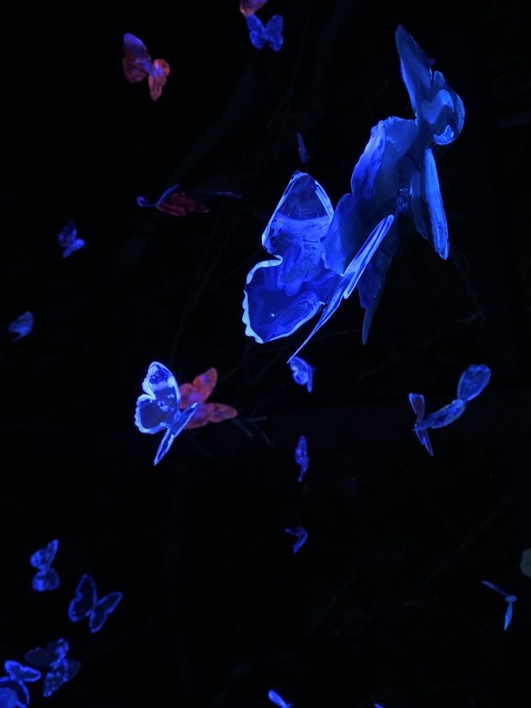 Photograph by Catalina Sirbu