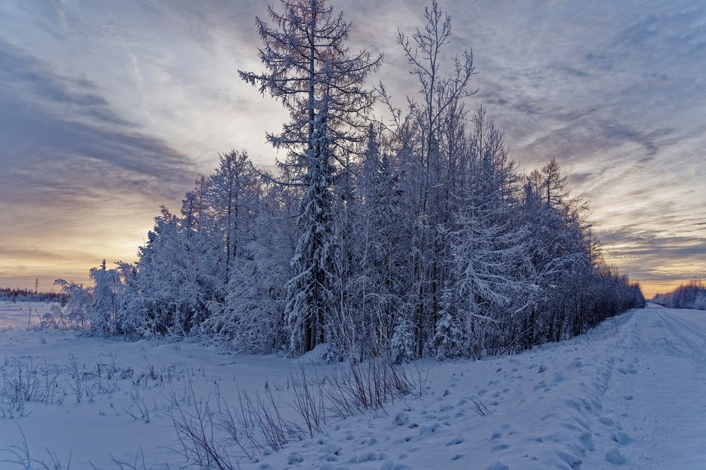 Photograph by Александр Клюев