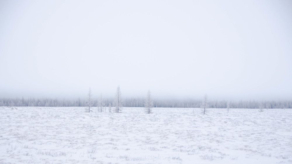 Фотография автора Мария Черница