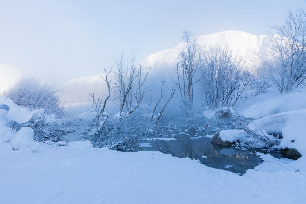 Photograph by Анастасия Григорян