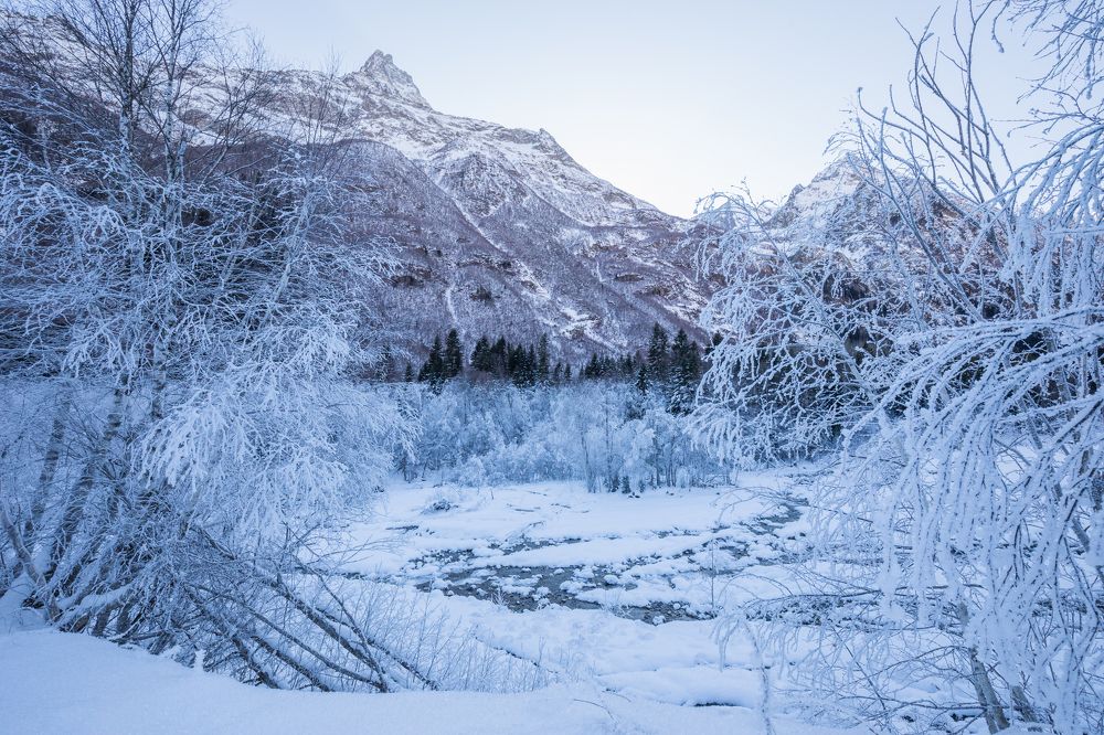 Photograph by Анастасия Григорян