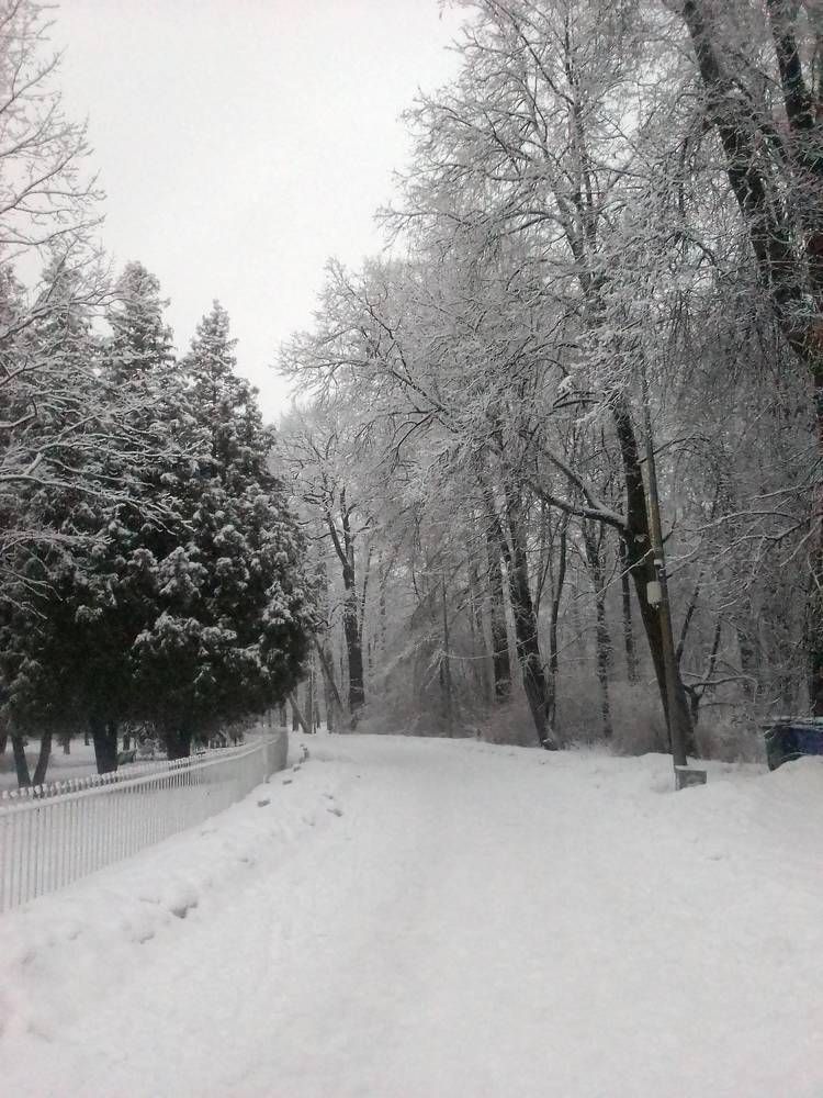 Photograph by Ольга Коркина