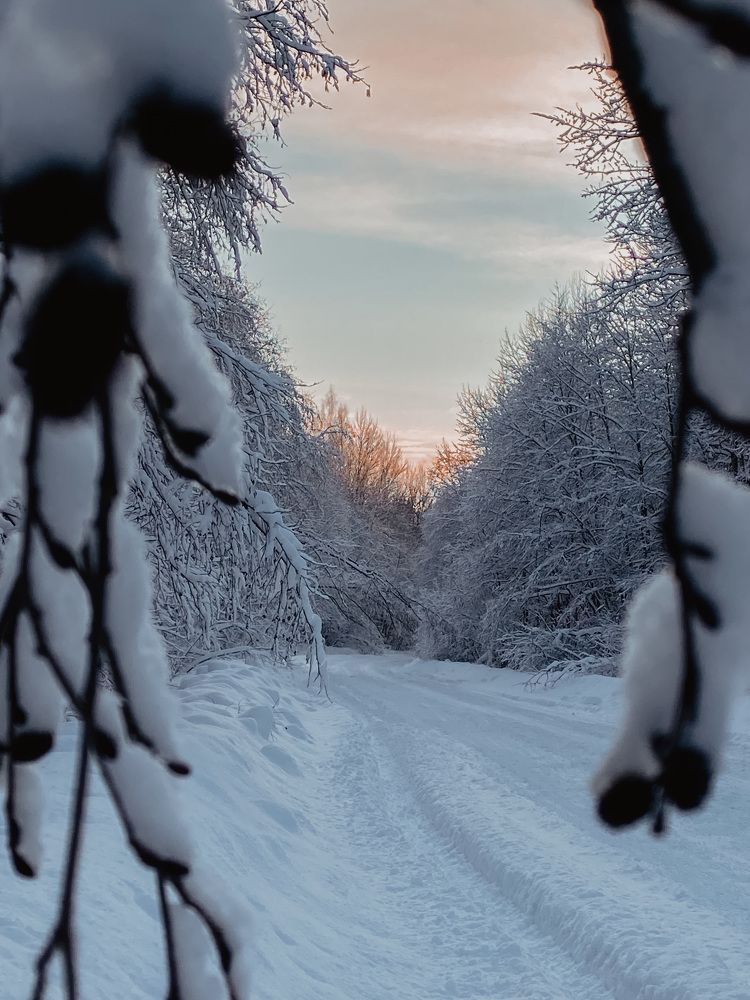 Photograph by Мария Королькова