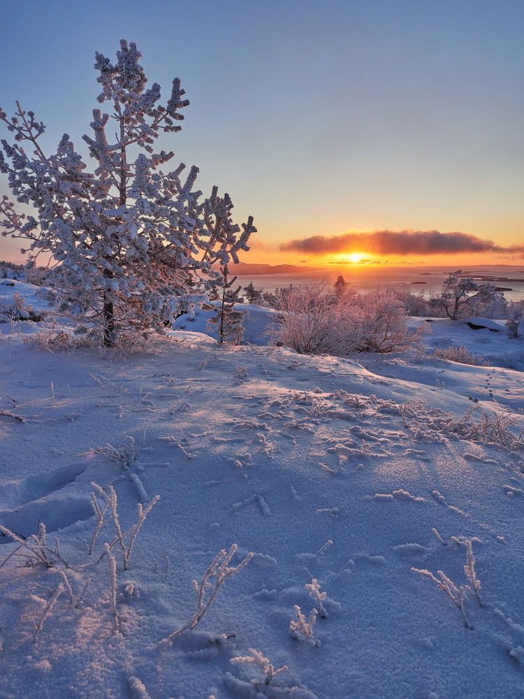 Photograph by Александр Авдушев