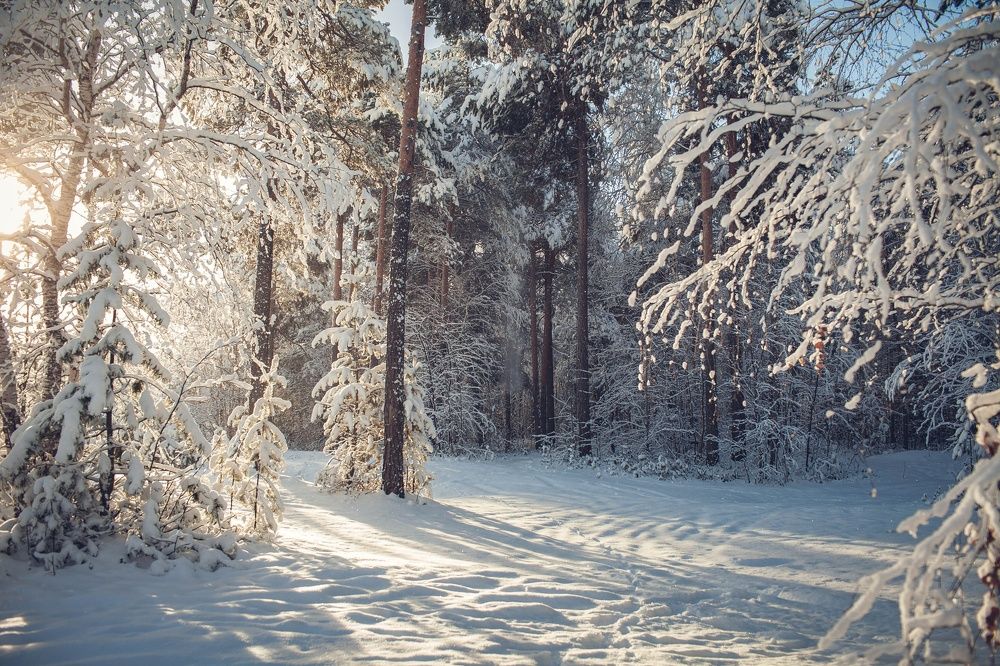 Photograph by Максим