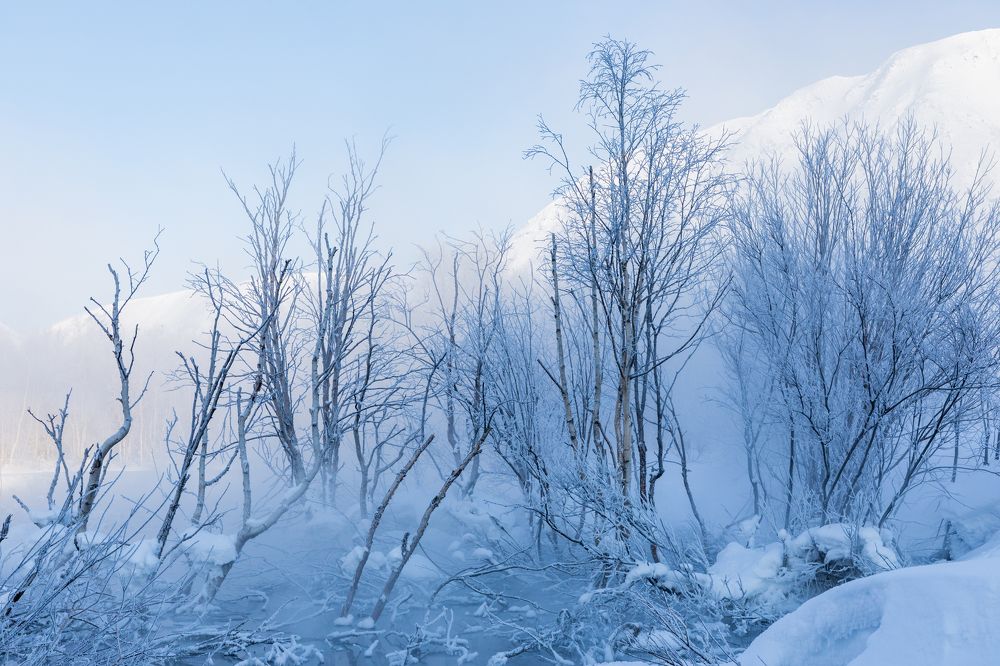 Photograph by Анастасия Григорян