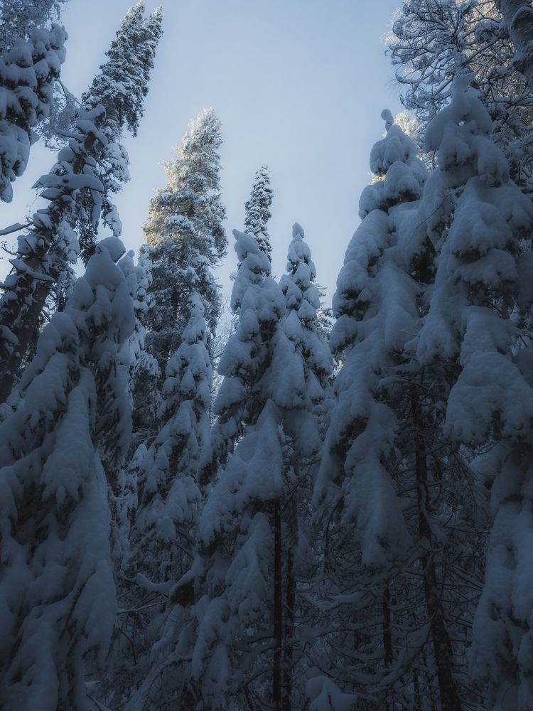 Фотография автора Вячеслав Бобин