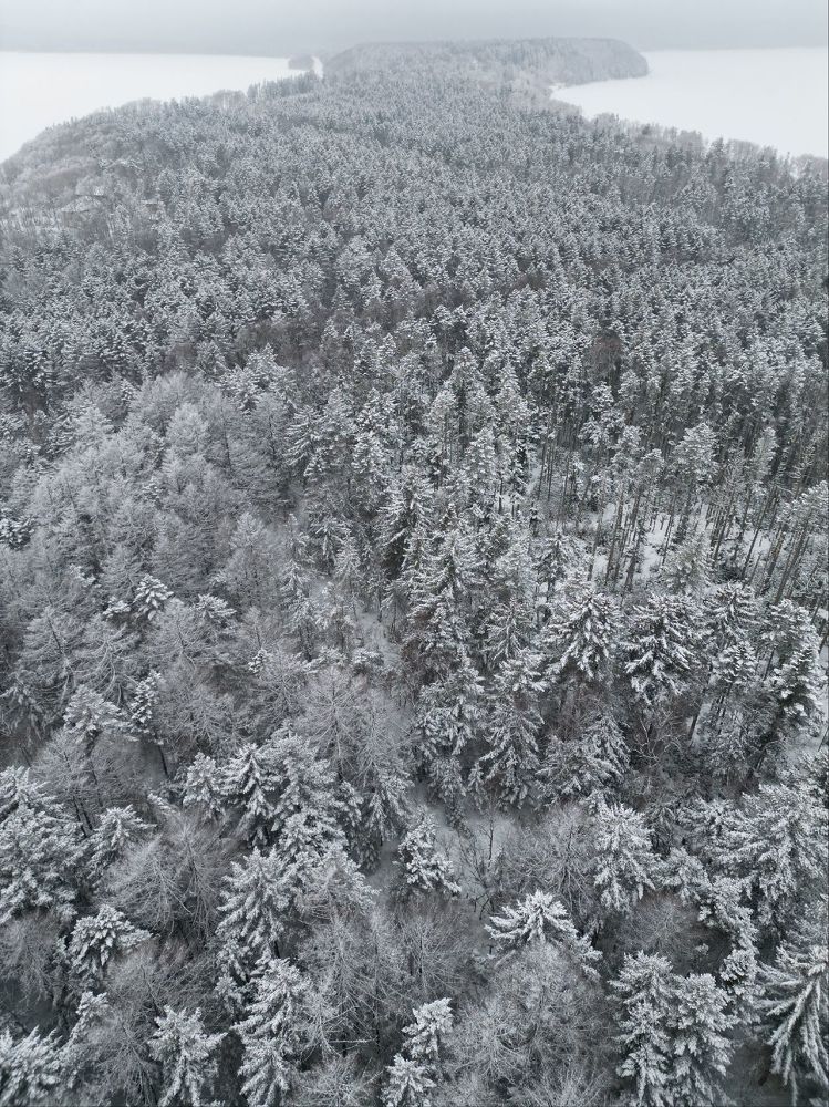 Photograph by Антон