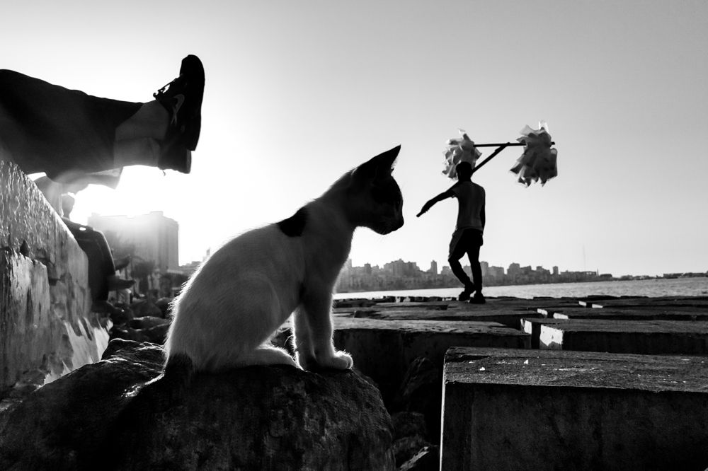 Фотография автора Ahmed Flex