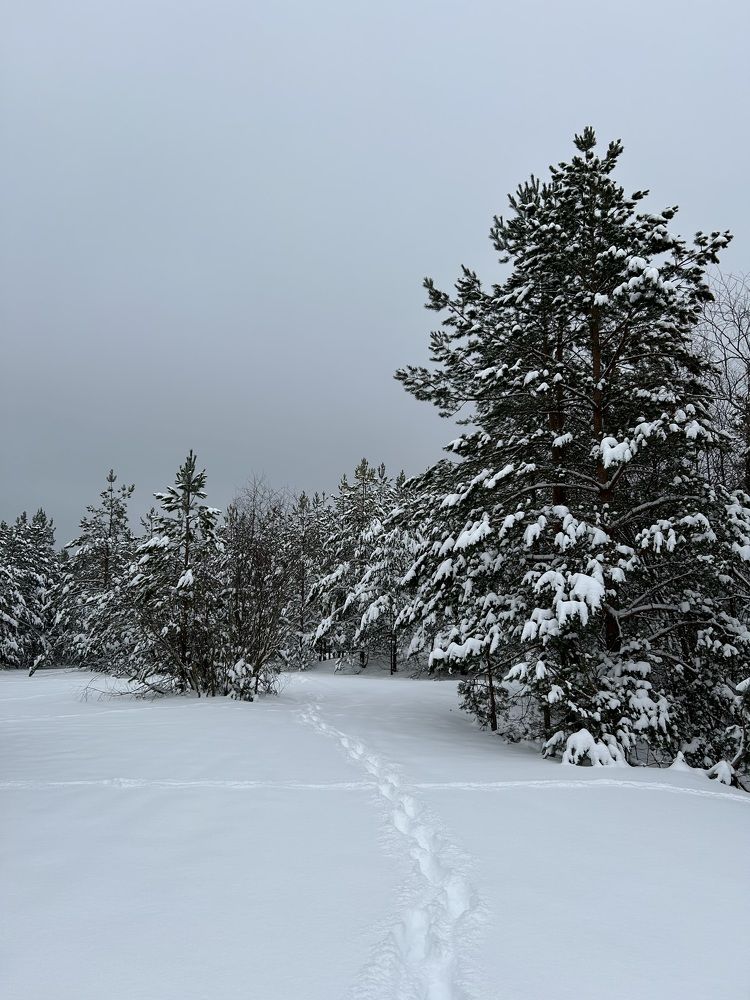 Photograph by Александр