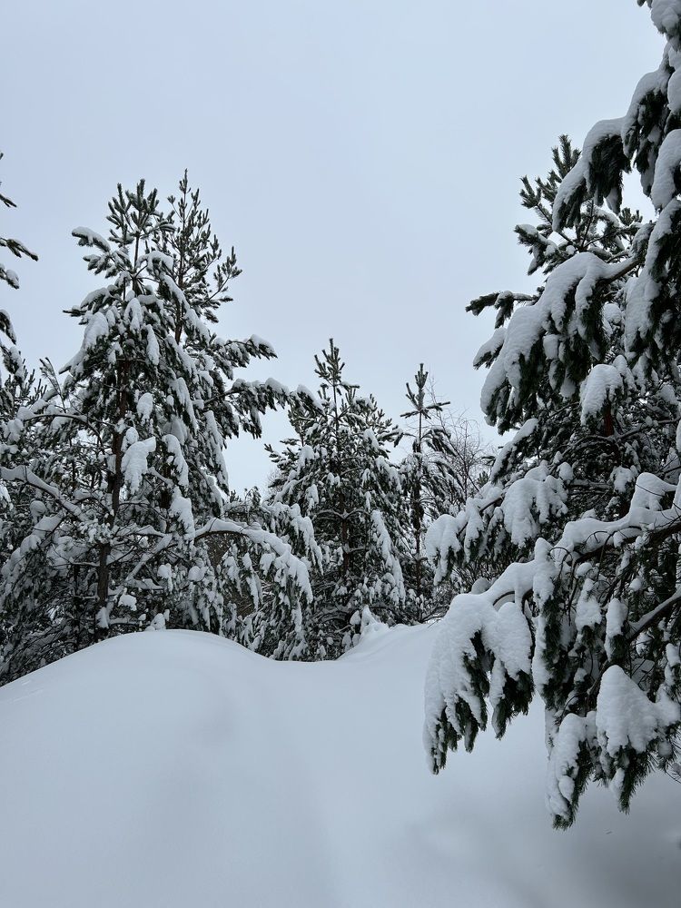 Photograph by Александр