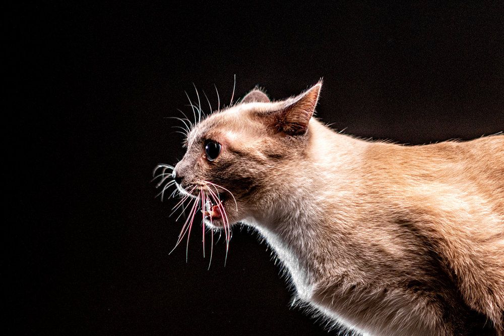 Photograph by Sergey Rygin