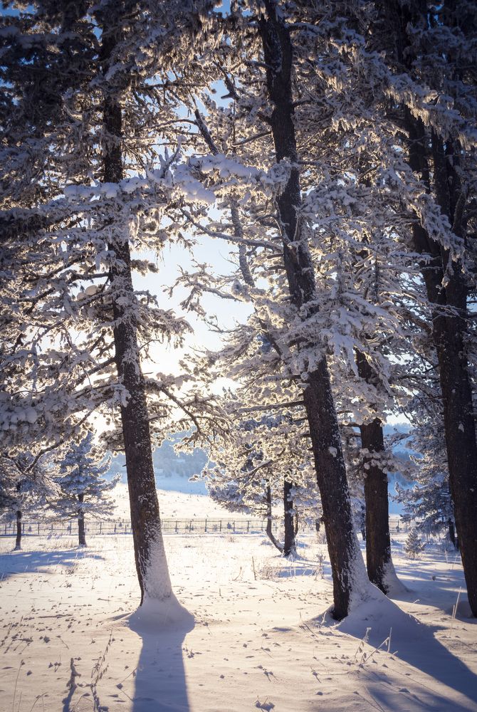 Photograph by Кристина Сотникова