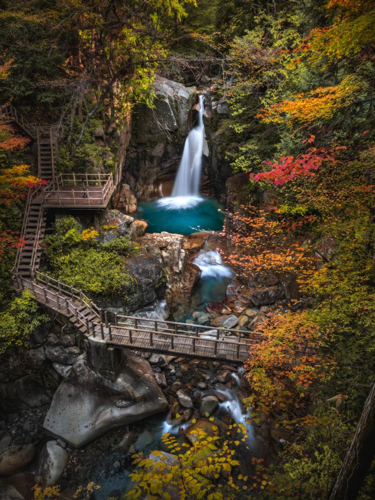 Photograph by Hiroki Matsubara