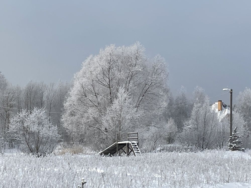 Photograph by Лавренева Алла