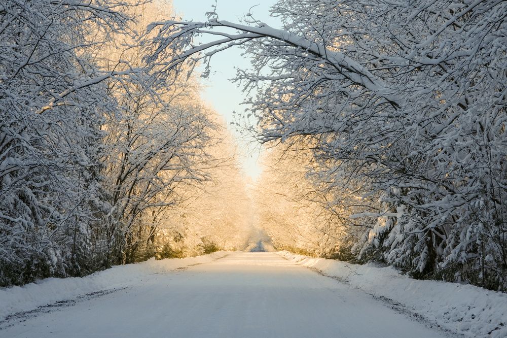 Photograph by Анатолий Вахрушев