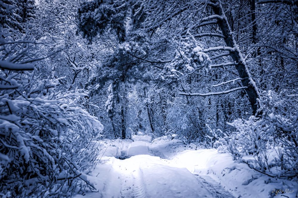 Photograph by Игорь