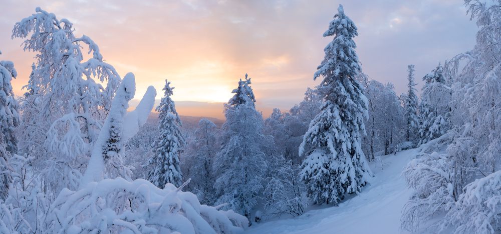 Photograph by Закаляпин Денис