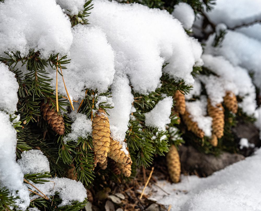 Фотография автора Straand2614