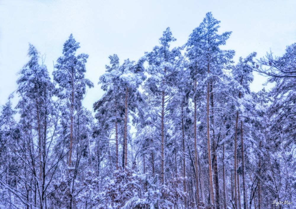 Photograph by Игорь