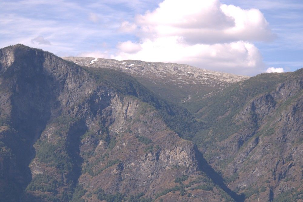 Photograph by Anna Baykova