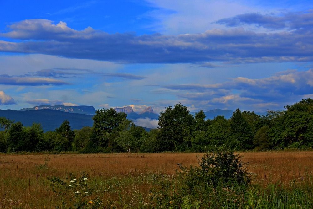 Photograph by Сергей Смоленцев