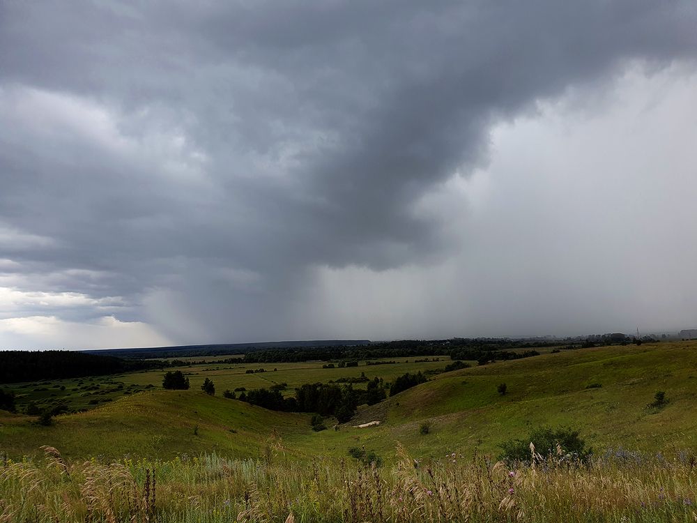 Фотография автора Надежда Лисицына
