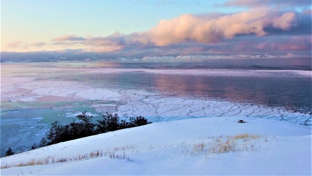 Горизонты января